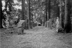 Zustand der Monolithenallee 1998